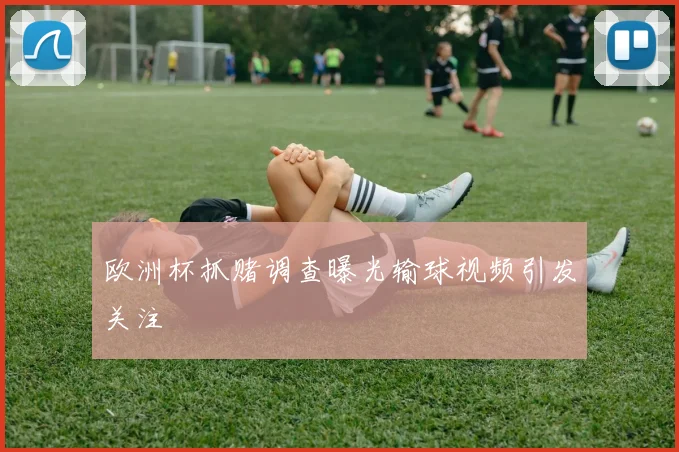 欧洲杯抓赌调查曝光输球视频引发关注
