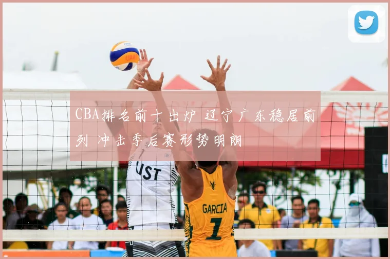 CBA排名前十出炉 辽宁广东稳居前列 冲击季后赛形势明朗